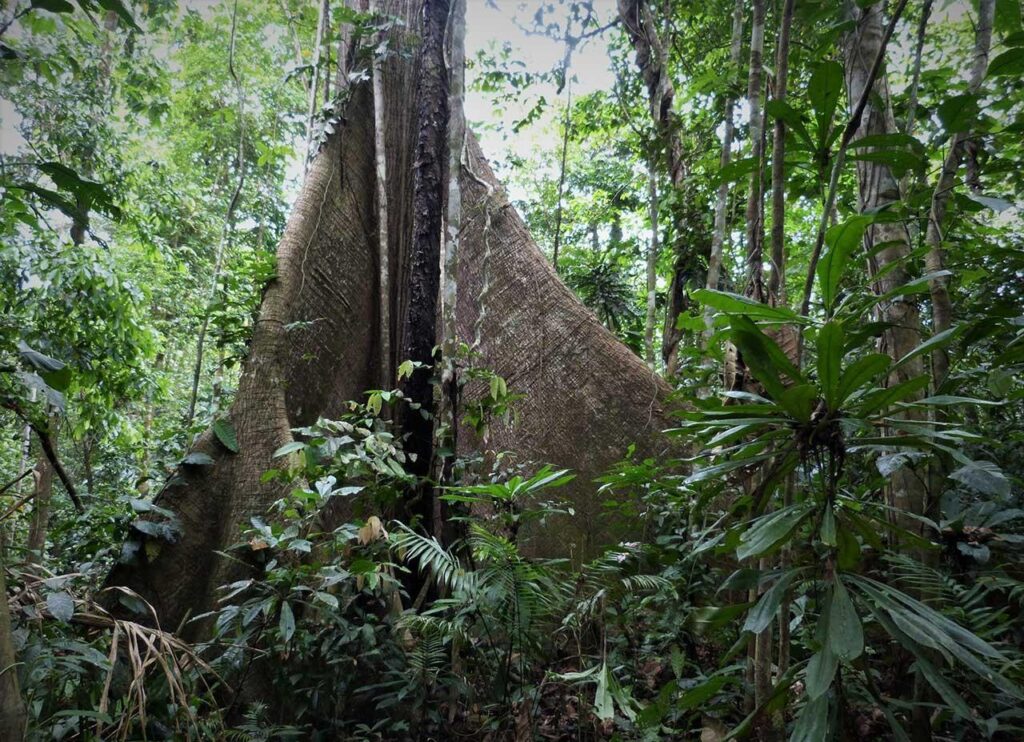 Darien National Park