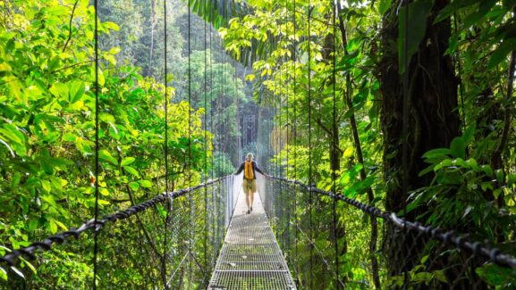 Monteverde Cloud Forest