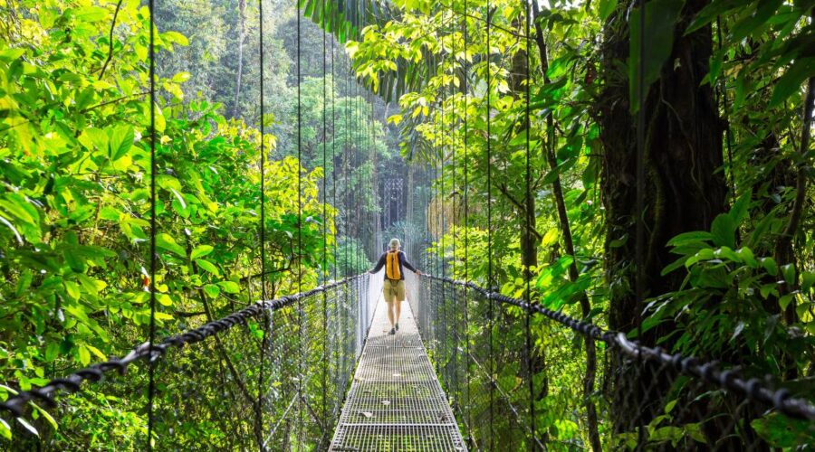 65 Interesting Facts About Ecotourism And Sustainability In Costa Rica