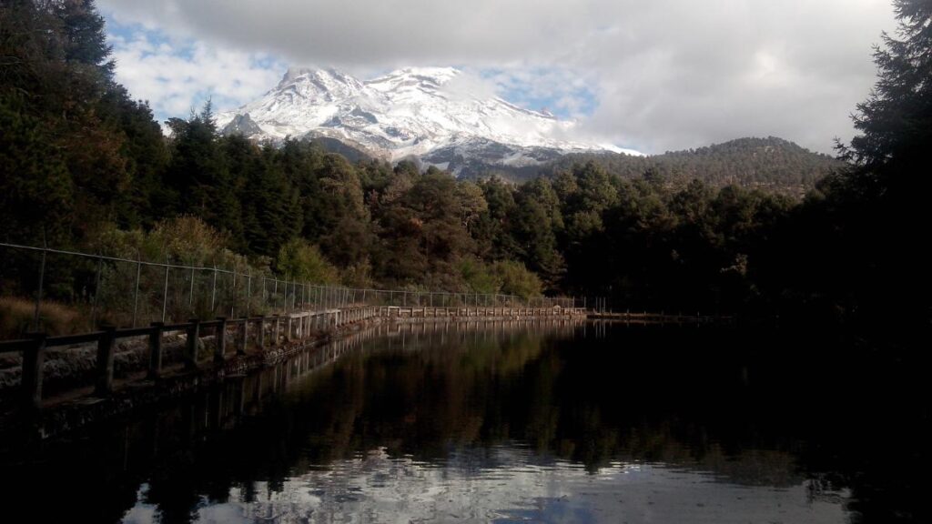 Iztaccíhuatl–Popocatépetl Forest