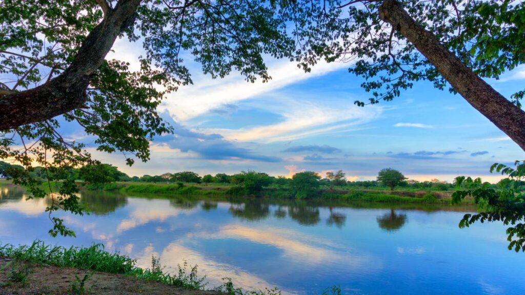 The Magdalena River In Colombia