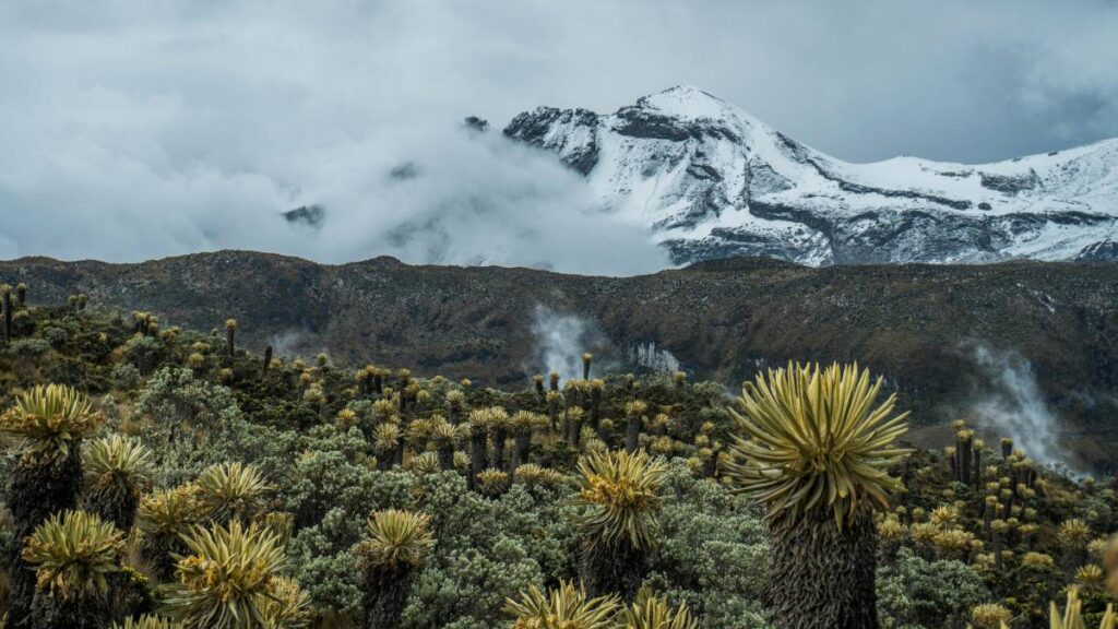 Nevado del Huila