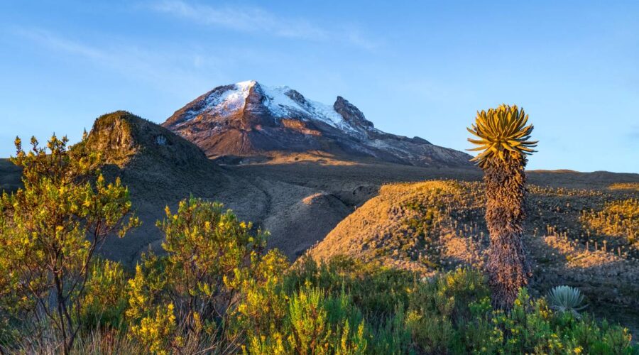 10 Interesting Facts About Colombia’s Vanishing Glaciers And Paramos